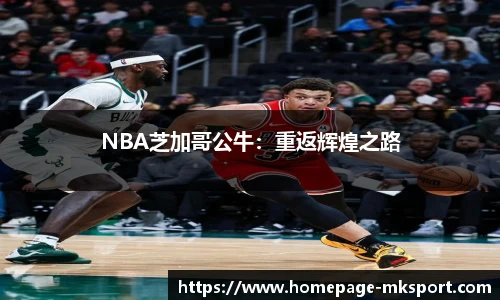 NBA芝加哥公牛：重返辉煌之路