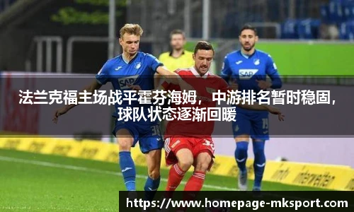 MK体育网址